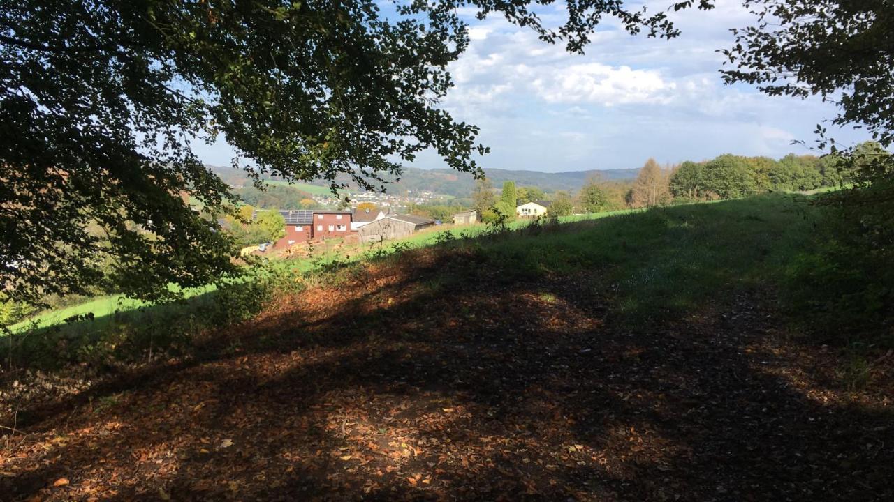 Feriendomizil Burg Appartement Overath Buitenkant foto